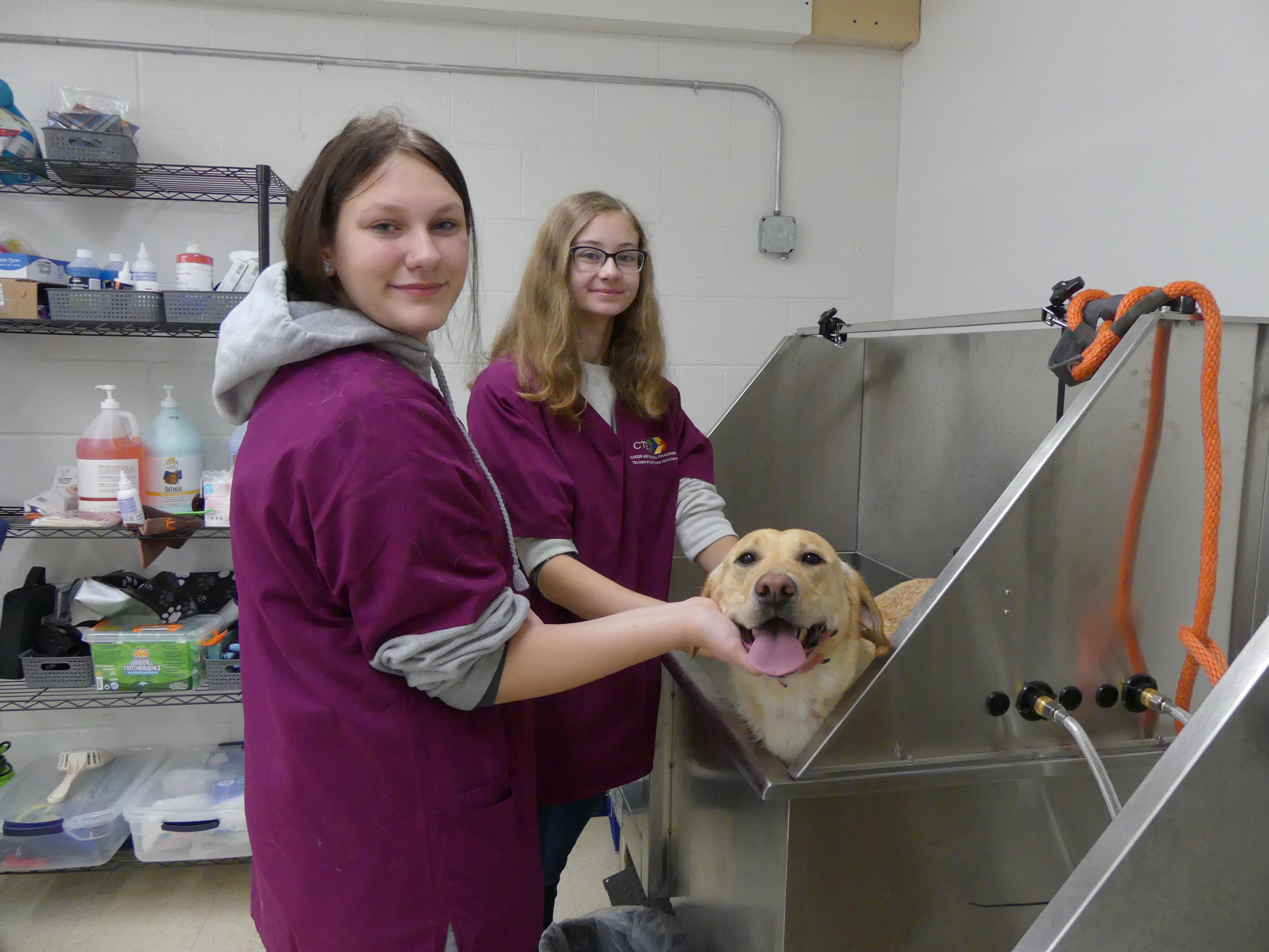2 students grooming a dog